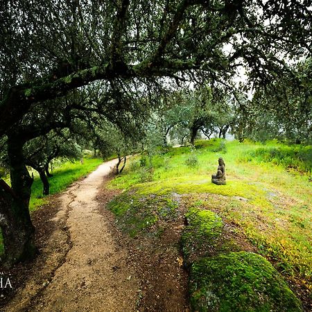 Herdade Da Rocha - Boutique Lodge Crato Exteriér fotografie