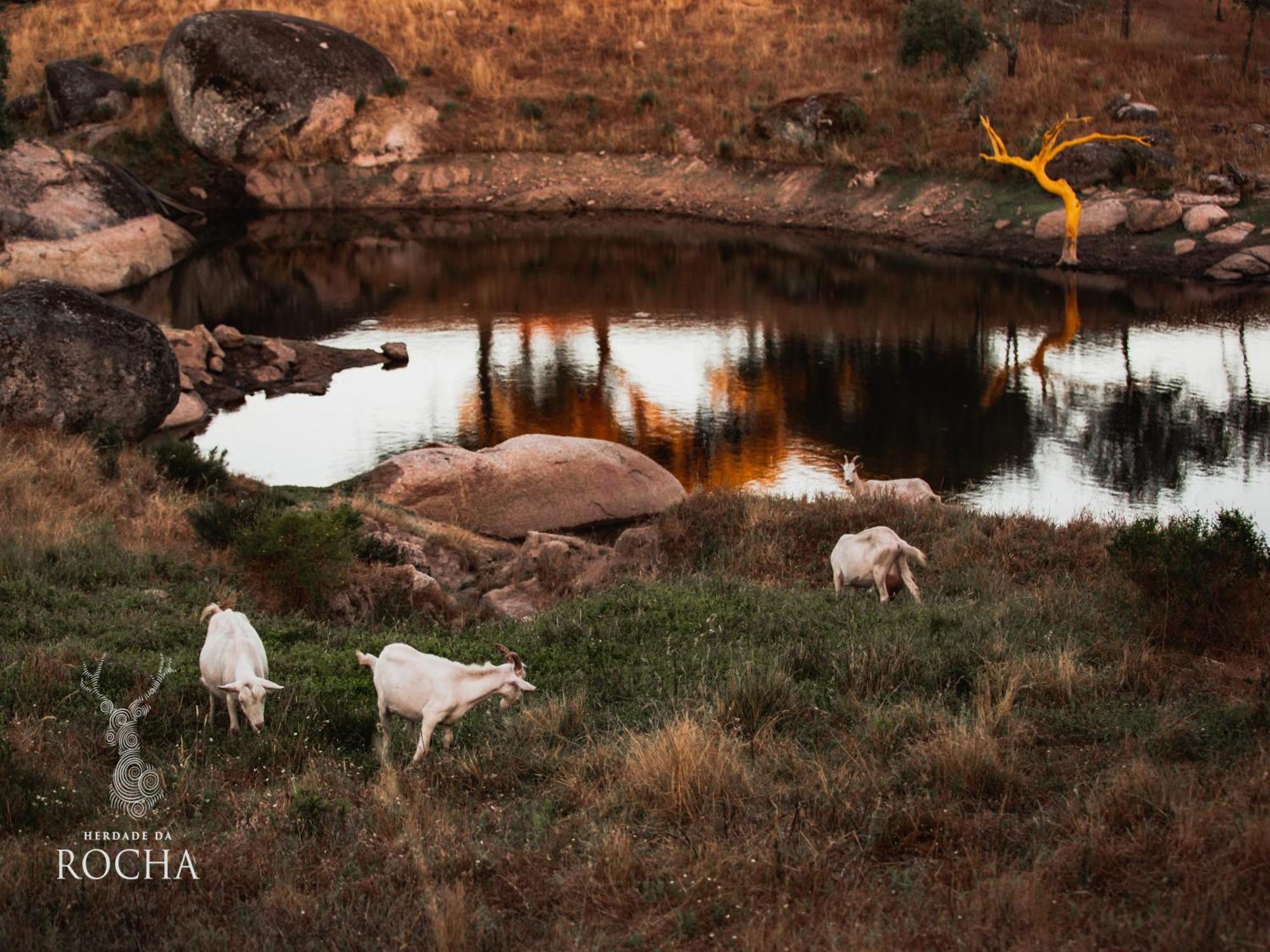 Herdade Da Rocha - Boutique Lodge Crato Exteriér fotografie