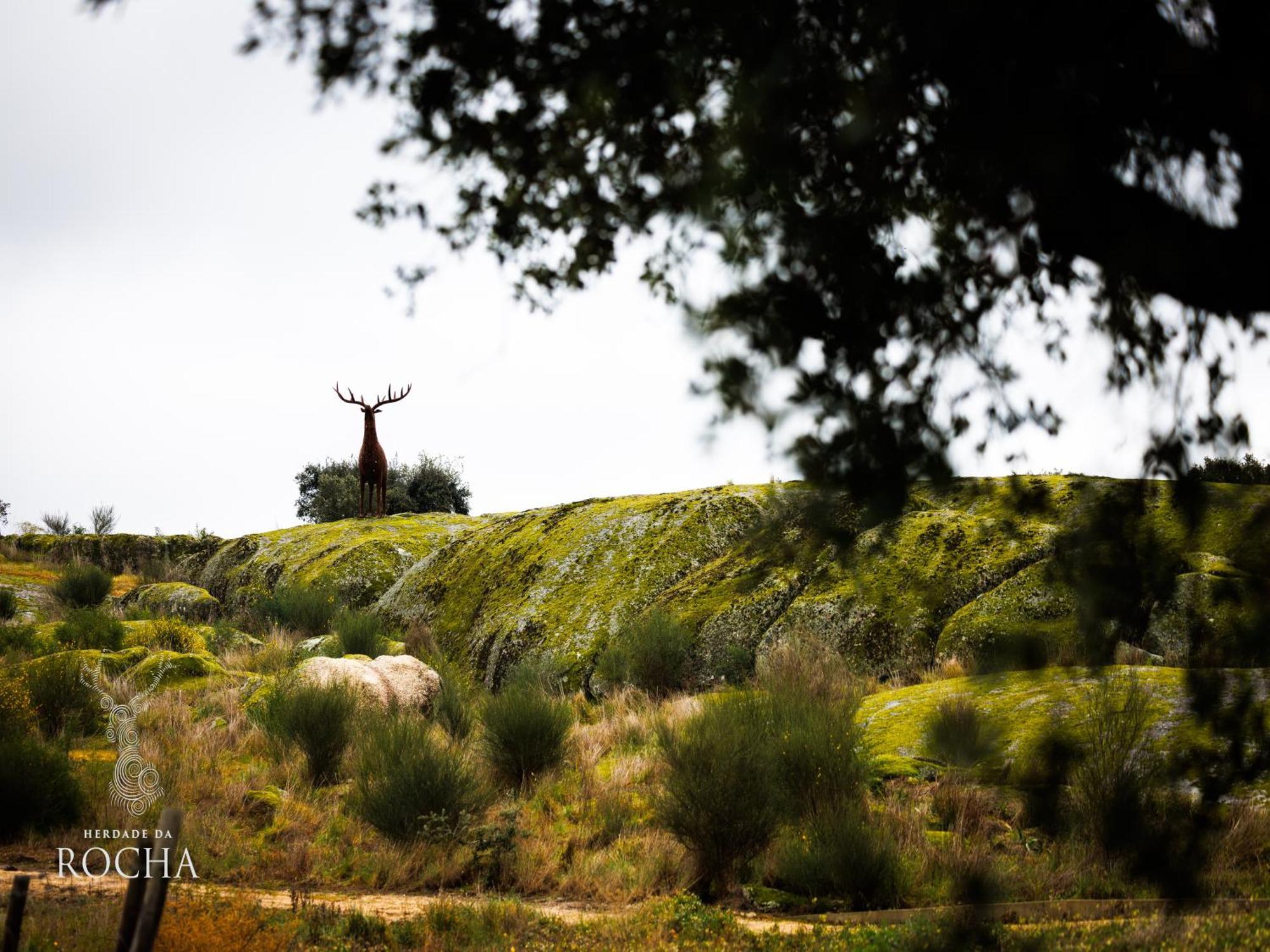 Herdade Da Rocha - Boutique Lodge Crato Exteriér fotografie