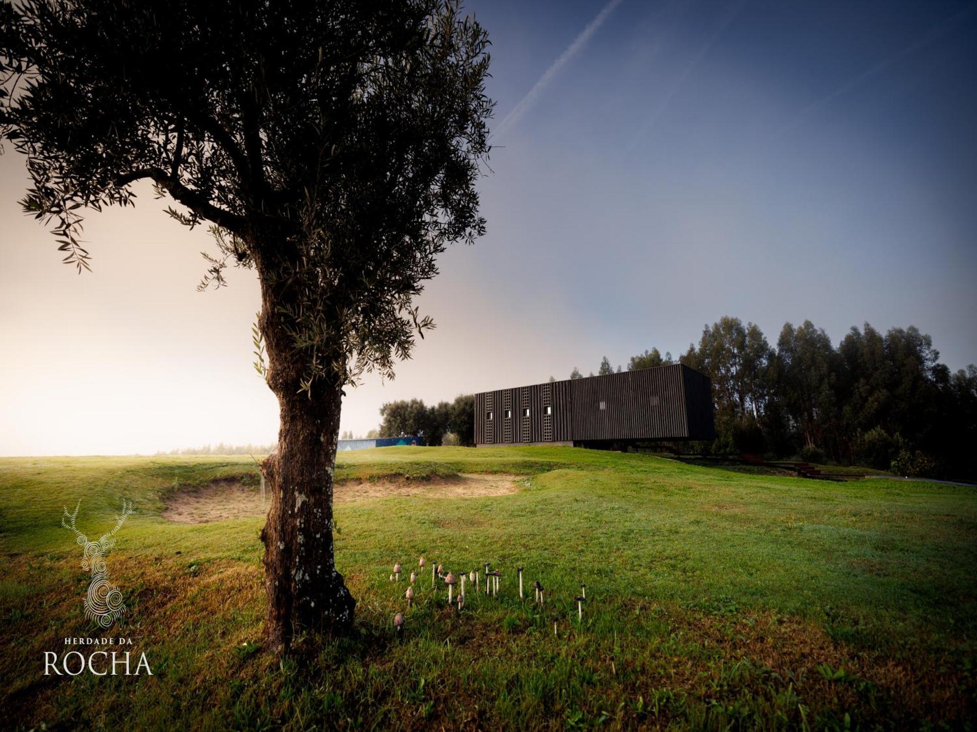 Herdade Da Rocha - Boutique Lodge Crato Exteriér fotografie